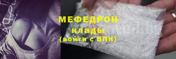 прущие грибы Пересвет