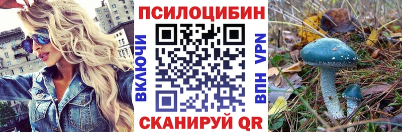 дарнет шоп Тула Галлюциногенные грибы ЛСД