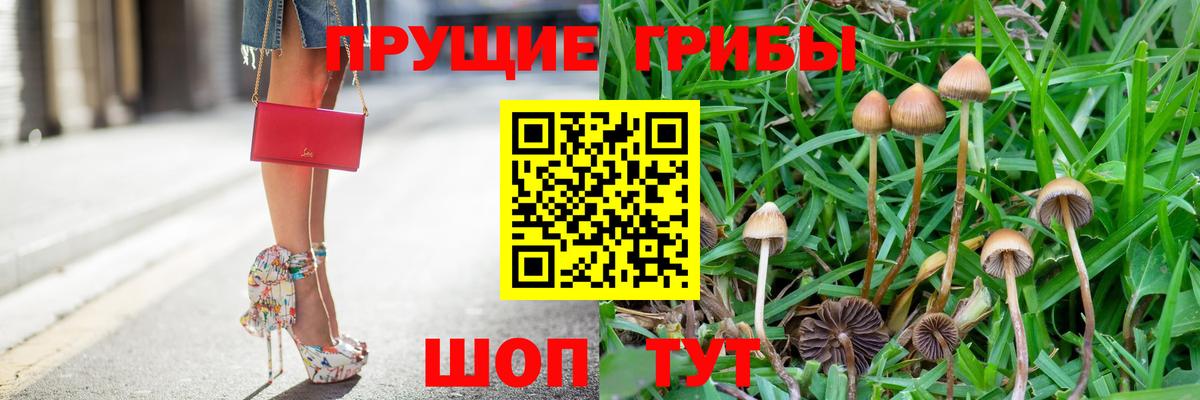 Тула  Псилоцибиновые грибы мицелий  Галлюциногенные грибы прущие грибы  Вход с VPN 